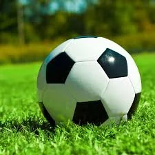 绿城与容大激战再续精彩对决结果揭晓引发球迷热议